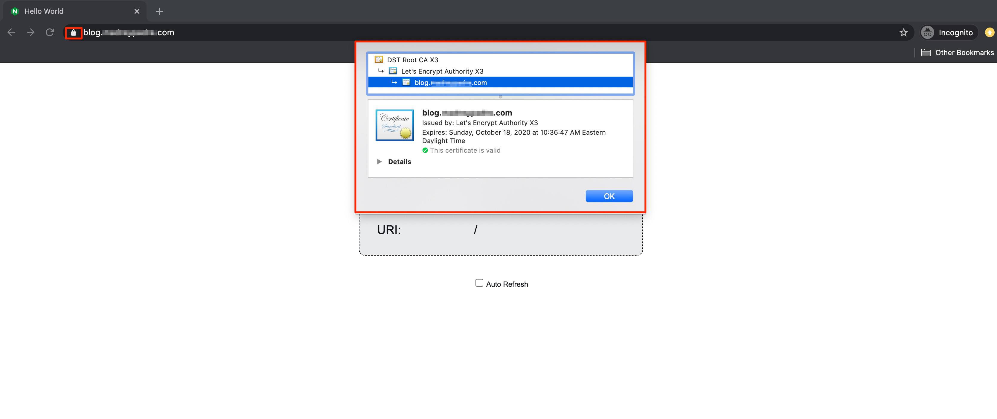 Use your browser to view your TLS certificate. Use your browser to view your TLS certificate.