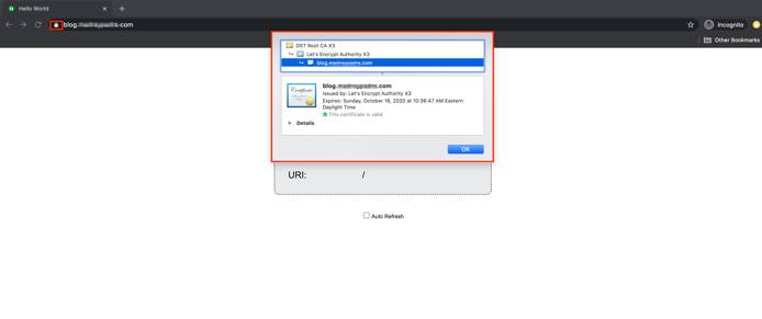 Use your browser to view your TLS certificate. Use your browser to view your TLS certificate.