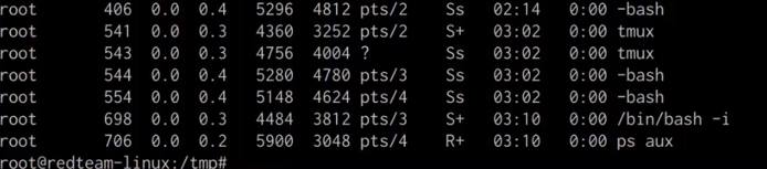 ps aux output with shell.py hidden ps aux output with shell.py hidden