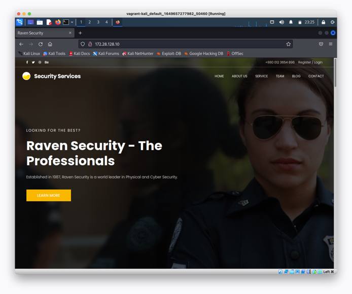 Raven web server browser screenshot Raven web server browser screenshot