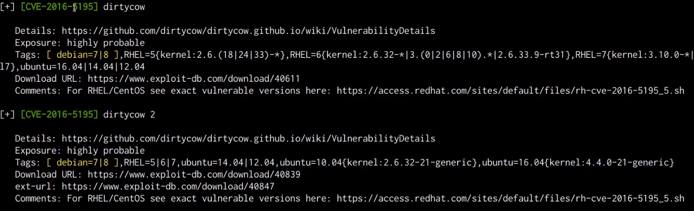 Linux-Exploit-Suggester output Linux-Exploit-Suggester output